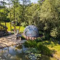 Domki i Glamping Nałęczów - Pod Łysą Górą, hotel a Nałęczów