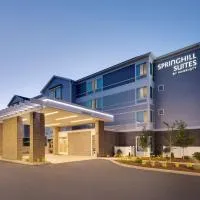SpringHill Suites by Marriott Hampton Portsmouth, Hotel in Hampton