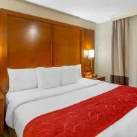 Comfort Suites Oakbrook Terrace - Chicago West, hotel v destinaci Oakbrook Terrace
