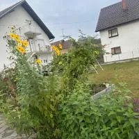 Nevade home, hotel v destinaci Gornji Milanovac