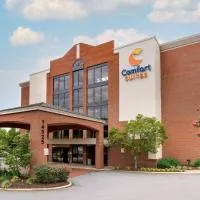Comfort Suites Near Potomac Mills, hotel a Woodbridge