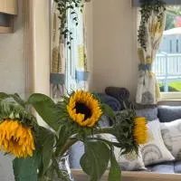 Sea and Sky caravan home, 3BR, sleeps 6, Central location, close to main facilities, hotel u gradu 'Port Seton'