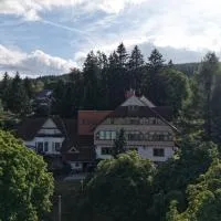Hotel Daheim, Hotel in Gehlberg