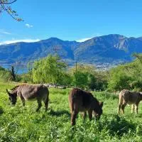 Il Quinto Gelso, hotell i Pisogne