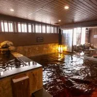 Dormy Inn Toyama Natural Hot Spring, hôtel à Toyama