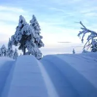 12 - Cabins at Fulufjellstunet - Winter Wonderland - Snow and Nature in Norway, hotelli kohteessa Ljørdal