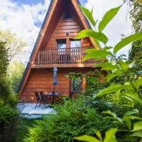 Góralski domek z kominkiem w dużym ogrodzie pełnym zieleni w spokojnej okolicy, blisko atrakcji Podhala, hotel in Łopuszna