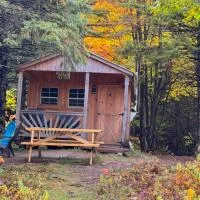 Lookout Cabin, hotel in Barton
