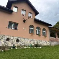 Casa Sara, ξενοδοχείο σε Dîmbovicioara