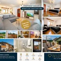 Spacious Apartment for 8 - Sauna, Fitness, Terrace & Grill - Senozece Village, hotelli Senožečessä