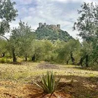 Casa Caraza, un olivar a los pies de un espectacular castillo, hotel Almodóvar del Ríóban