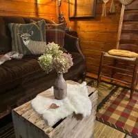 The Drake Cabin in The Forest, hotel em Cosby