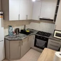 AeroHome ! 500 метров от аэропорта !!!Внимание !!! 6 октября заселение после 21 30 !!!, hotell i Chişinău