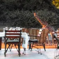 Gabus Safari Lodge, hotel en Otavi