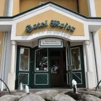 Hotel-Restaurant Moser Pöchlarn, hôtel à Pöchlarn