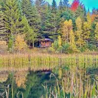 Lookout Cabin, hotel a Barton