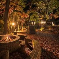 くじゅうみんなの森102号-ベッドリニューアル-焚火と星空, hotel di Kokonoe