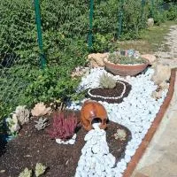 A Casa di Lucia, ξενοδοχείο σε Piedimonte San Germano