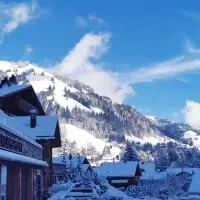 Hôtel de Rougemont Boutique life style, khách sạn ở Gstaad