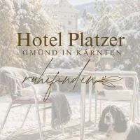 Hotel Restaurant Platzer, hotel in Gmünd in Kärnten