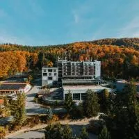 Peakture Hotel Balvanyos, hotel u gradu 'Balvanyos'
