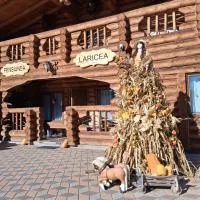 Pensiunea Laricea, hotel in Vatra Dornei