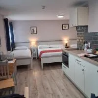 Matty's Pub - Apartment's: Carlow şehrinde bir otel