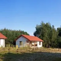 Domki Strumieniowa, hotel em Wólka Tanewska