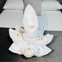 hotel Montserrat、バジェドゥパルのホテル