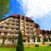 Pansionat Slavskiy, hotel u gradu Slavske