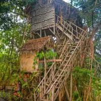 Tree Home Adventure, hotel v destinácii Isaka