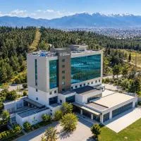 Park Dedeman Denizli, hotel v destinaci Denizli