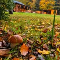 Viesnīca Zacisze Częstkowo pilsētā Częstkowo