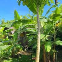 Banana grove travellers inn, hotel en El Nido