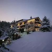 Hotel Adlerschanze, hotell sihtkohas Schönwald