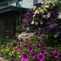 Alaska House of Jade Bed and Breakfast, hotel v destinaci Anchorage