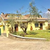 발몬토네에 위치한 호텔 B & B Casal Pereto