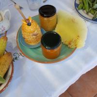 Agriturismo SoleMare, hotel in Stromboli