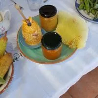 Agriturismo SoleMare, ξενοδοχείο στο Στρόμπολι