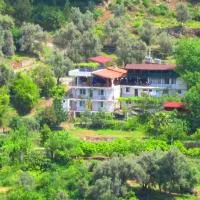 Gul Pension, hotel em Faralya