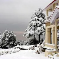 Tree of Life Grand Oak Manor, Binsar, hotelli kohteessa Binsar