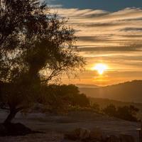 Masseria Straziuso - La Vaccariccia