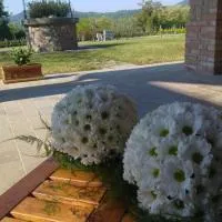 Alloggio Franciscus, hotel u gradu 'Arqua Petrarca'