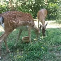 Cascina Bricco, hotell i Ovada