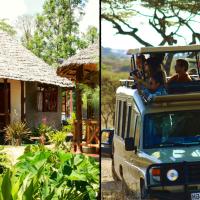 The Vijiji Center Lodge & Safari, hotel in Arusha