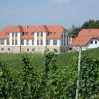 Weingut Taggenbrunn, hotel v mestu Sankt Veit an der Glan