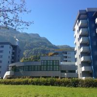 a group of buildings with a mountain in the background at Hotel Sommerhaus, Bad Ischl
