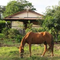 a brown horse grazing in the grass in front of a house at Finca Lindos Ojos, Estelí