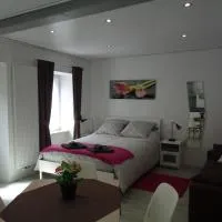 Studio Gite Fischer Ottrott, hotel a Ottrott