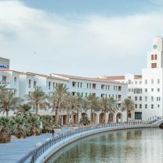 Millennium Lakeview Residences
